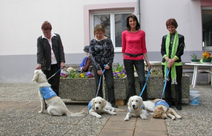 2009-04-04 QUATRE CHIOTS HANDI-CHIENS